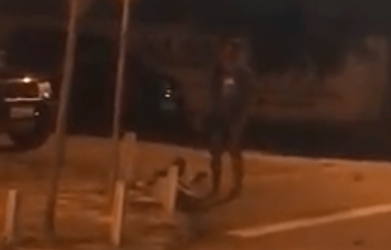 Screenshot_20191121-021207~2